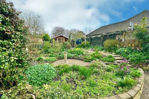 garden .jpg