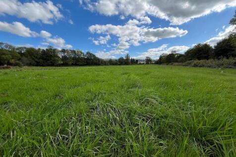 WhatsApp Image 2025-11-07 at 11.28.04.jpeg