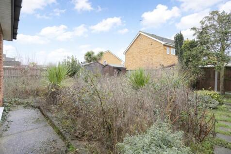 ChatGPT_Image_Jan...