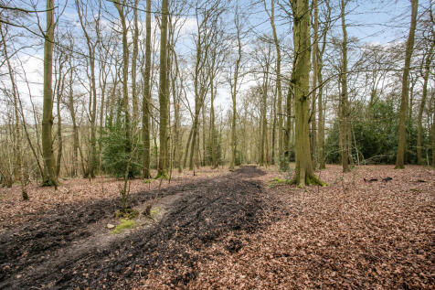 Woodlands to rear