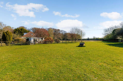 Side Paddock