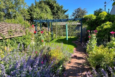 Summer Garden