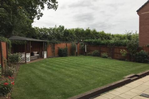 Back Garden