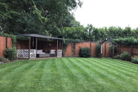 Back Garden