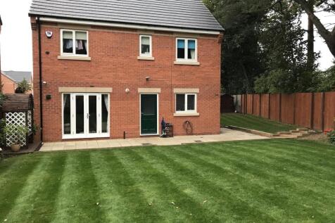 Back Garden