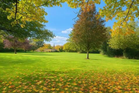 IMG-20251022-WA00...