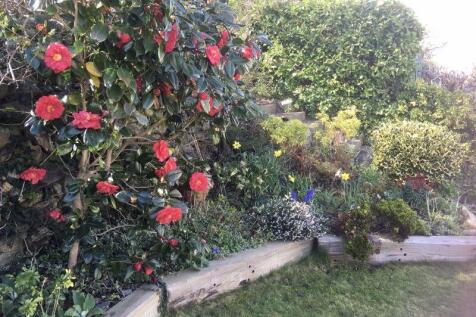 Photo 25