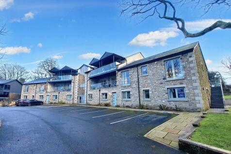 Welcome to Tall Trees