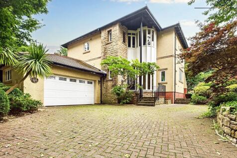 Welcome to Squirrel Chase