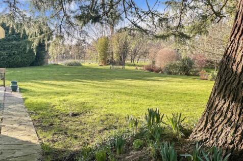 Garden 10
