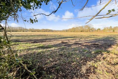 Countryside Views