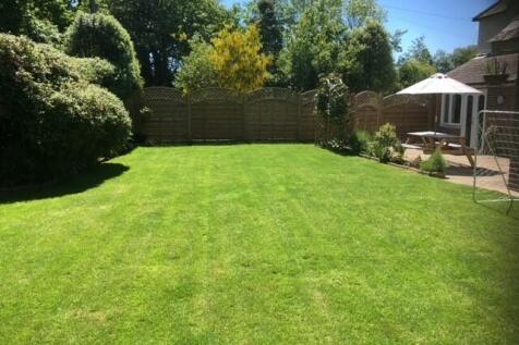 Garden*