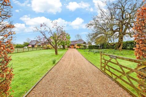 Driveway/Parking