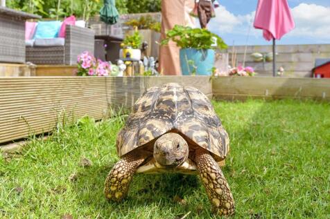 External Lifestyle Photograph