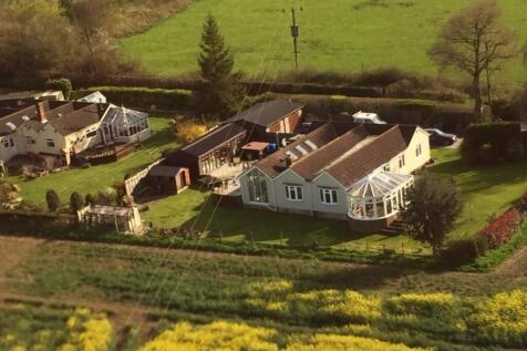 Aerial Shot
