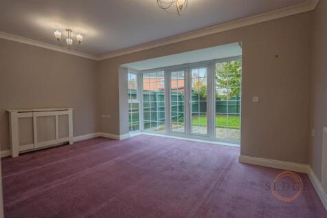 4 mallard close -04.jpg