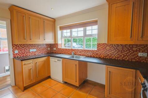 4 mallard close -02.jpg