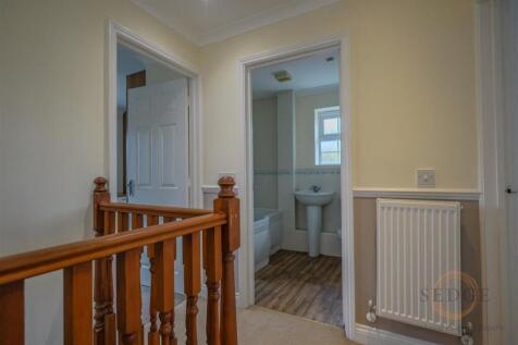 4 mallard close -07.jpg