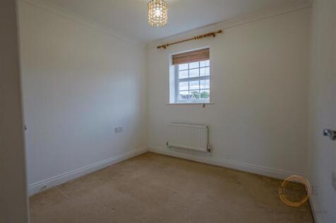 4 mallard close -09.jpg