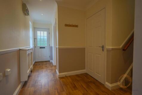 4 mallard close -14.jpg