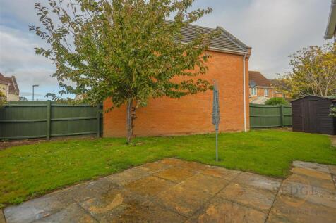 4 mallard close -15.jpg