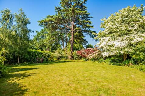 South Facing Garden
