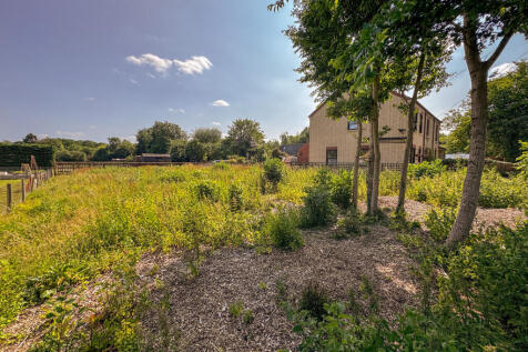 20250616_144251794_iOS_edited