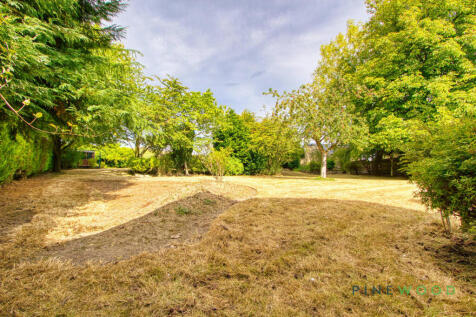 Rear Garden (Exterior)