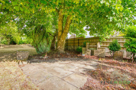 Rear Garden (Exterior)