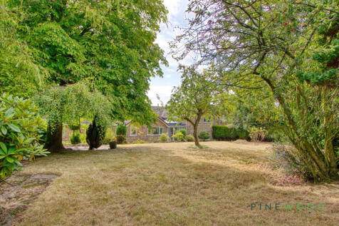 Rear Garden (Exterior)