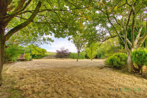 Rear Garden (Exterior)