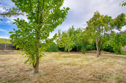 Rear Garden (Exterior)