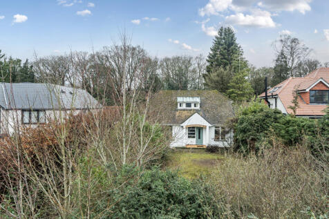 1396917-1-6961081...