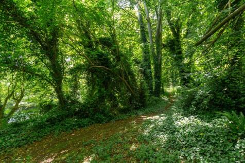 Lot 2 - Woodland