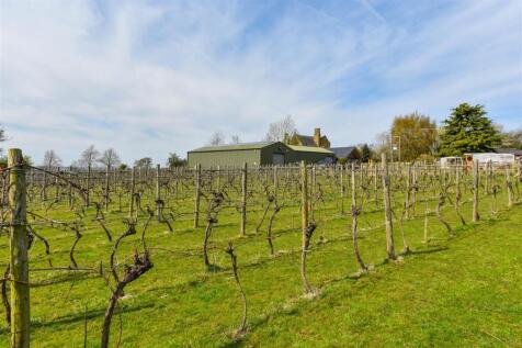 0033vineyard.jpg