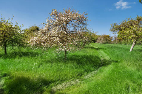 41-681a335754e07-...