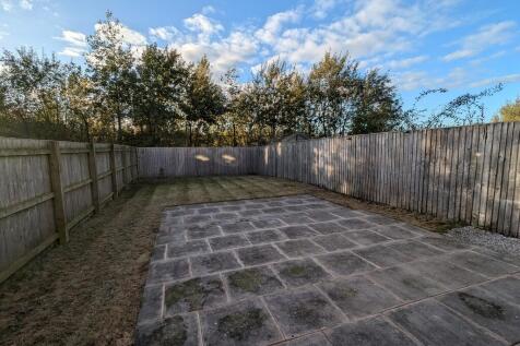 PXL_20241022_1539...