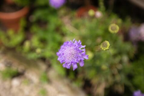3Y6A4878.jpg