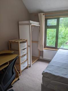 PXL_20230801_165625929