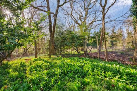 Property Image 36