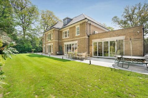 Property Image 41