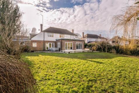 Property Image 13