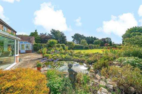 Terrace / Pond