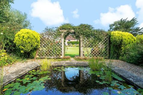 Pond