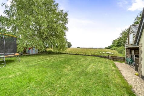 Garden / View