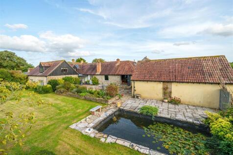 Garden / Pond