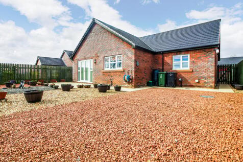 Rear of the Property