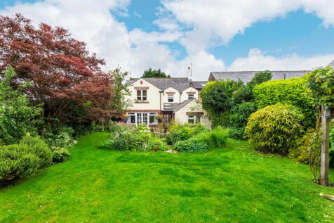 Rear of the Property