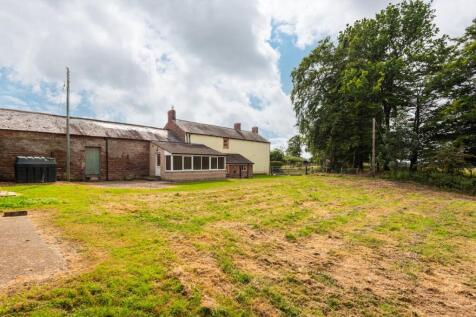 Rear of the Property 