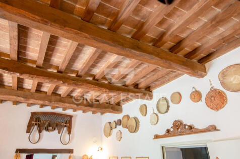 Panorama e Particolari